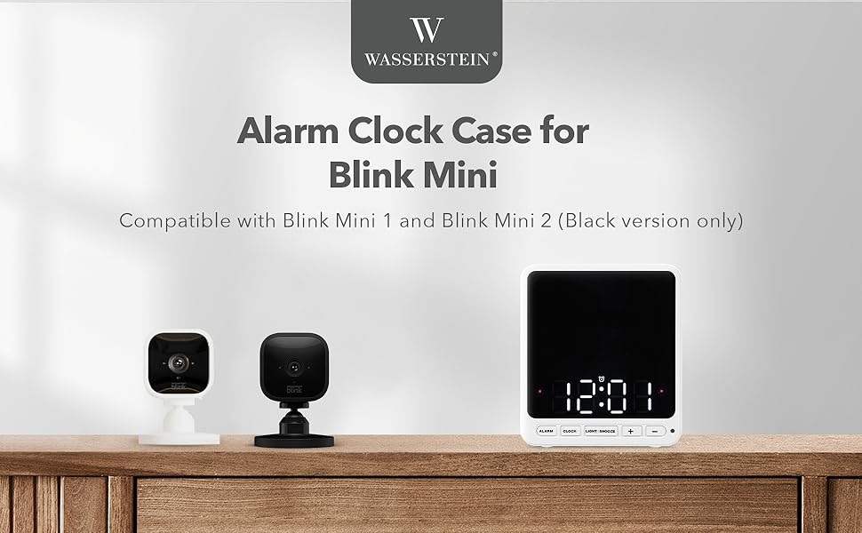 Blink mini