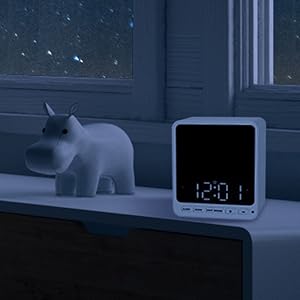 Use all of your Blink Mini’s video and audio features