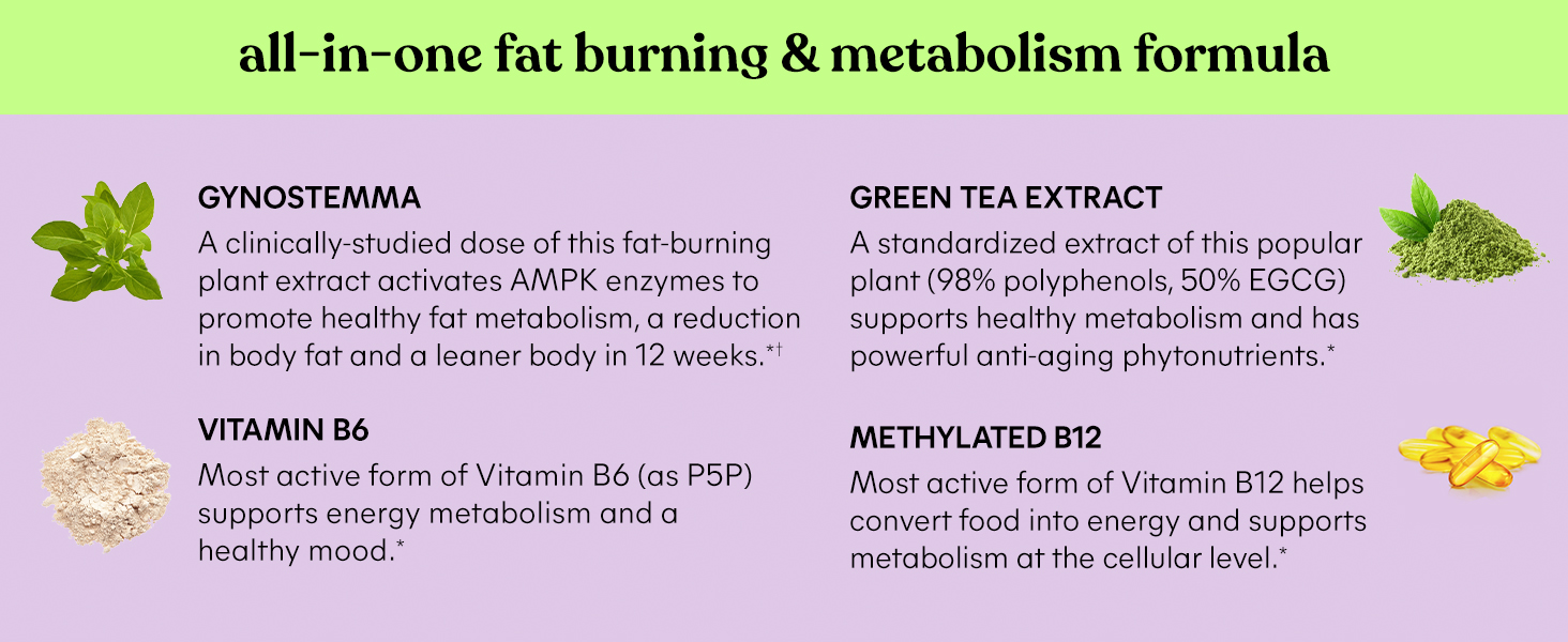 all-in-one fat burning&metabolism formula, gynostemma, green tea extract, Vitamin B6, Methylated B12